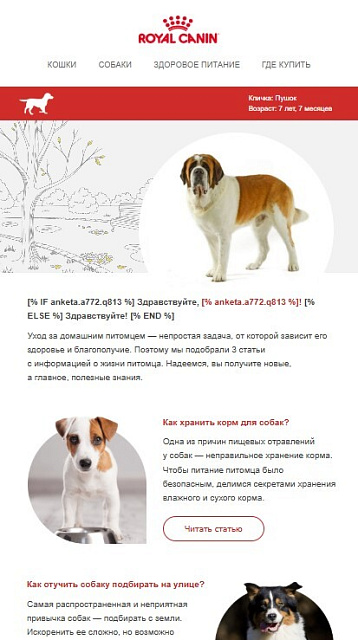 Royal Canin